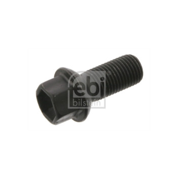 Image for Wheel Bolt/Nut