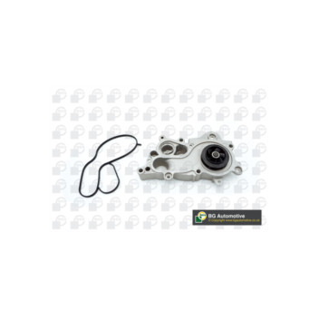 Image for Water Pump