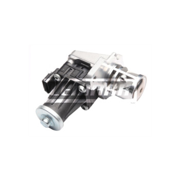 Image for EGR Valve