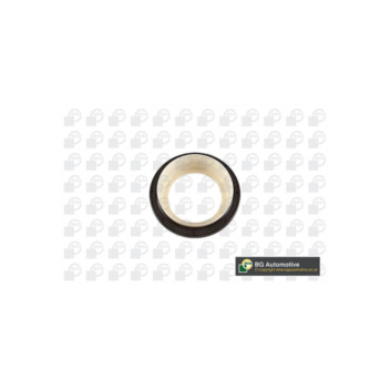 Image for Crankshaft Seal