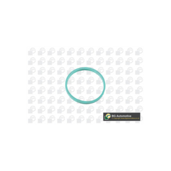 Image for Manifold Gasket