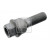 Image for Wheel Bolt/Nut
