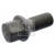 Image for Wheel Bolt/Nut