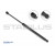 Image for Gas Spring