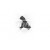 Image for Camshaft Sensor