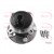 Image for Wheel Bearing Kit