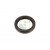 Image for Crankshaft Seal