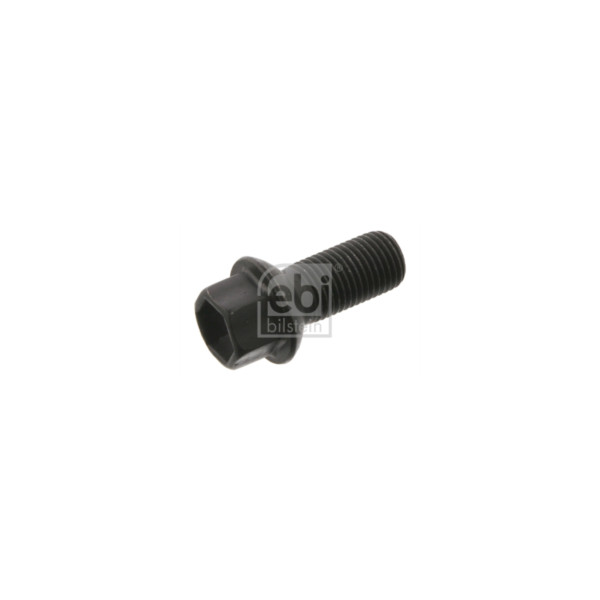 Wheel Bolt/Nut image