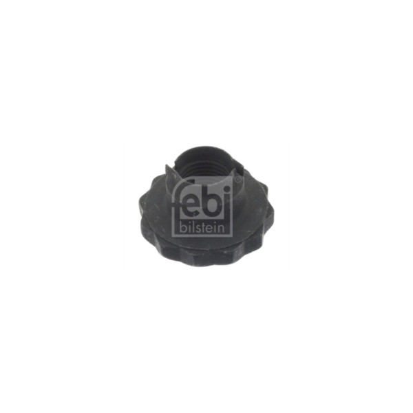 Hub Nut image