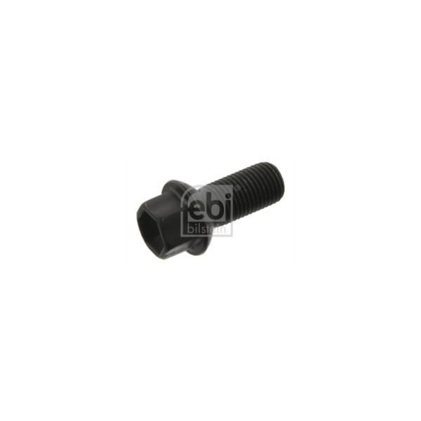 Wheel Bolt/Nut image