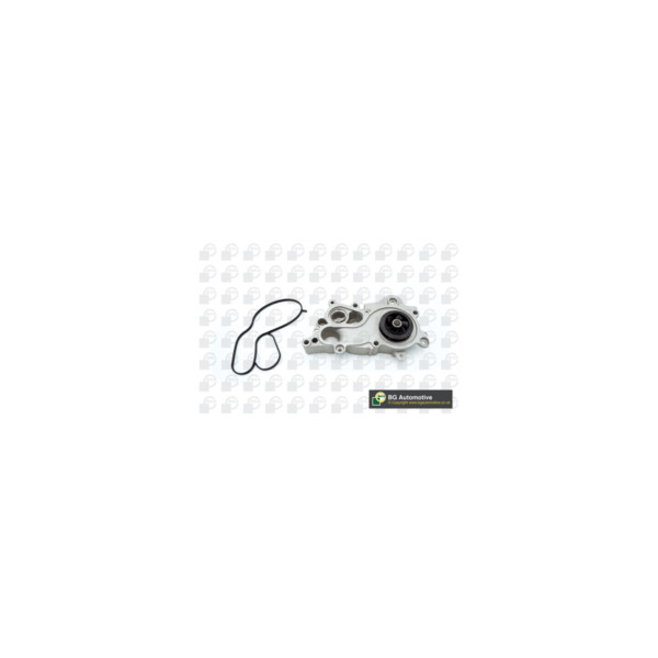 Water Pump image
