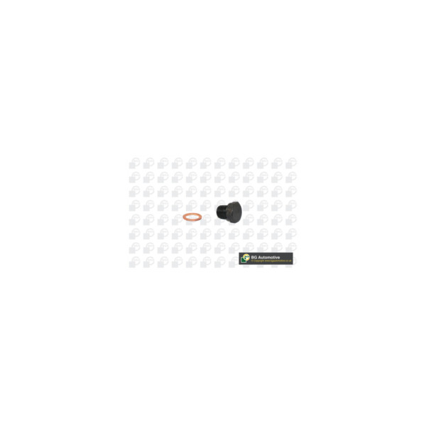 Sump Plug image