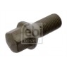 Image for Wheel Bolt/Nut