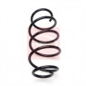 Image for Coil Spring