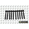 Image for Head Bolts