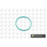 Image for Manifold Gasket